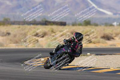 media/Nov-11-2023-SoCal Trackdays (Sat) [[efd63766ff]]/Turn 16 (11am)/